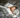 Sleeping Beauty Meditatie - voor diepe slaap - digitaal product